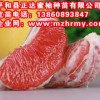 買紅心柚子苗,請認準平和正達蜜柚種苗有限公司