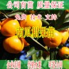 簡介: