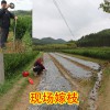 簡介: