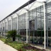福建創新型的龍巖溫室大棚|專業的龍巖溫室大棚