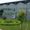 福建口碑好的溫室大棚 創新型的溫室大棚