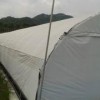 食用菌大棚建造費用——福建食用菌大棚安裝