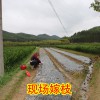 簡介: