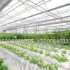 連棟溫室大棚價格:山東質量好的連棟溫室