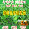 簡介: