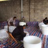 荔浦新農優品農產品為您提供銷量好的水果采果籮筐：塑料圓形周轉籮筐