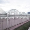 山西花棚溫室大棚建造：專業溫室大棚建造廠家