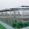 北京日光溫室建設|山東優質的溫室大棚