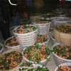桂林哪里買質量硬的水果塑料籮筐——塑料籮筐廠家