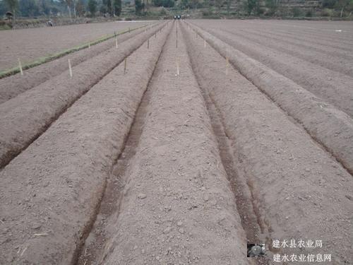 圖片其版權均歸原作者所有，未經許可嚴禁轉載或建立鏡像，如需轉載，請與作者或本站聯系