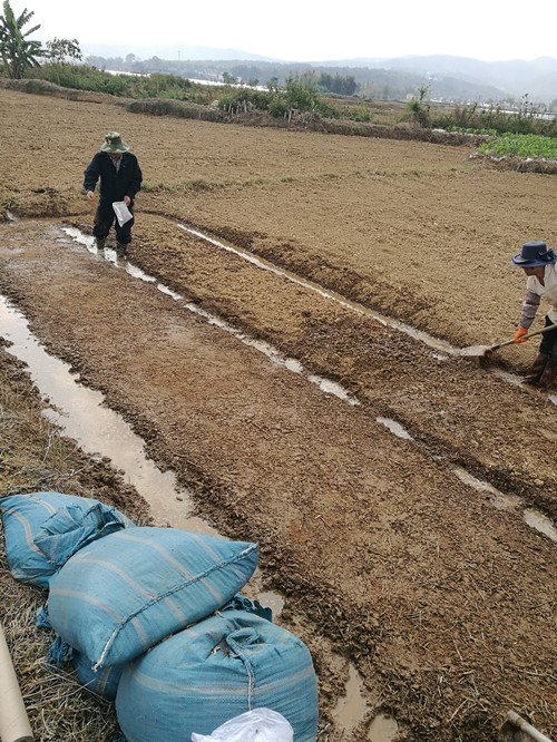 圖片其版權均歸原作者所有,未經許可嚴禁轉載或建立鏡像,如需轉載,請與作者或本站聯系