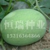 西瓜種子生產廠家|山東西瓜種子批發價格