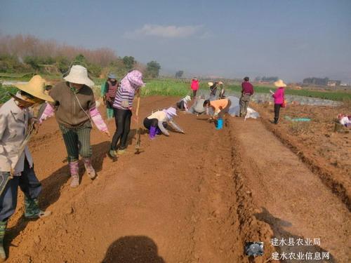 圖片其版權均歸原作者所有，未經許可嚴禁轉載或建立鏡像，如需轉載，請與作者或本站聯系