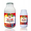 哪里能買到優質的大白菜增長防腐抗病包心劑，根多多