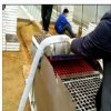 穴盤育苗播種機 泡沫育苗播種機 漂盤育苗播種機 常州風雷