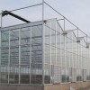 新疆蔬菜高溫大棚 山東質量好的溫室大棚