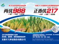 安徽豐大種業股份有限公司水稻品種 (0?)