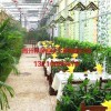 專業的連棟生態餐廳——【薦】一流的連棟生態餐廳建設