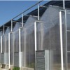 紋絡溫室建設 建溫室大棚要多少錢