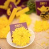金絲皇菊的功效，喝大菊花的好處，那個牌子的金絲皇菊好