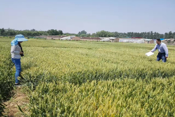 華陰試驗站開放日現場