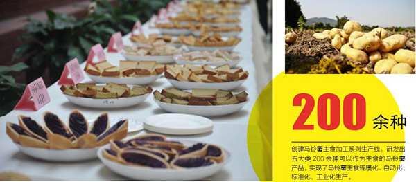 我國馬鈴薯加工關鍵技術世界領先