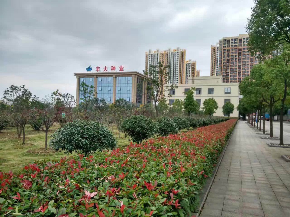 種業圖