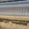 濰坊規模大的水晶PO膜提供商|日本PO膜廠家