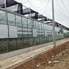 智能大棚建造:知名的智能大棚工程服務公司