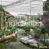【WOW~WOW~你要的】生態餐廳{價位}{建造}{廠家}||山東生態餐廳**冬日暖陽