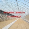 專業溫室大棚_山東大棚溫室建造公司