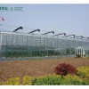 明君農業專業承建溫室大棚,智能溫室大棚搭建