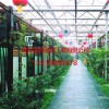濰坊一流的連棟生態餐廳建設公司，當屬佳通溫室：建造連棟生態餐廳