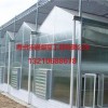 pc板連棟智能溫室建設 【誠薦】pc板連棟智能溫室信息