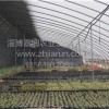 多肉養殖1代棚