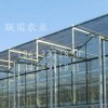 連棟生態餐廳優選聯國_連棟生態餐廳搭建廠家
