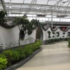 生態溫室建造找益興誠溫室|忻州生態溫室工程