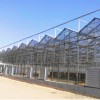 甘肅智能溫室報價 結實耐用的溫室推薦