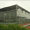 智能溫室大棚建設哪里有——專業的智能溫室大棚建設風山溫室園藝提供