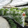 江蘇生態餐廳溫室大棚價格/河北連棟生態餐廳/山東生態餐廳溫室大棚價格*神農