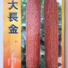 瞧!好產品近在眼前!老黃瓜品種-老黃瓜種子-大長金-壽光綠興種業