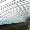 優質日光溫室建設 德州日光溫室建造