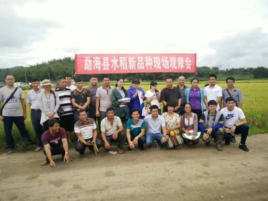 圖片其版權均歸原作者所有,未經許可嚴禁轉載或建立鏡像,如需轉載,請與作者或本站聯系