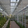 建造山東智能溫室建設就來嘉潤農業，智能溫室建造
