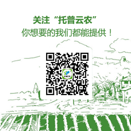 托普服務號微信二維碼