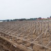 濰坊區域規模大的溫室工程——蔬菜大棚建設