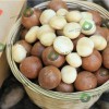 夏威夷果壽鄉香專業供應，澳洲堅果