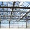 優質的連棟溫室大棚建設提供商當屬風山溫室園藝——溫室大棚建設造價