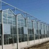 溫室建造找鑫藝農溫室工程-甘肅專業種植溫室建設