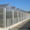 溫室認準鑫藝農溫室工程——甘肅PC陽光板溫室建設